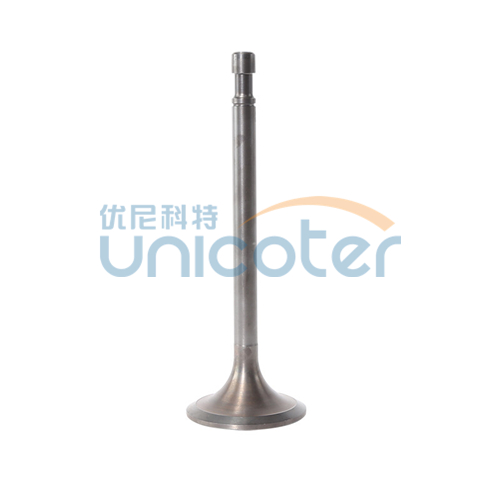 Intake valve S00001631+05 for hongyan truck