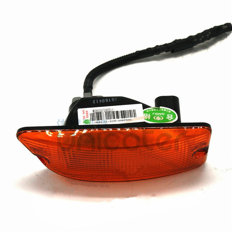 Steering lights WG9525720021